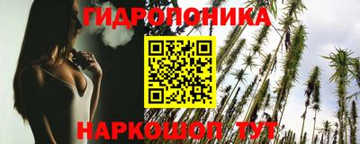 ГАЛЛЮЦИНОГЕННЫЕ ГРИБЫ Берёзовский