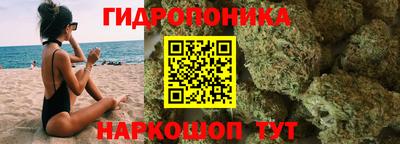 ГАЛЛЮЦИНОГЕННЫЕ ГРИБЫ Берёзовский