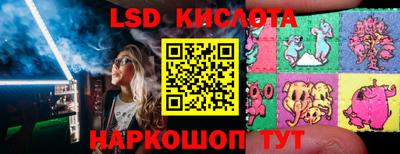 молекула духа Заводоуковск