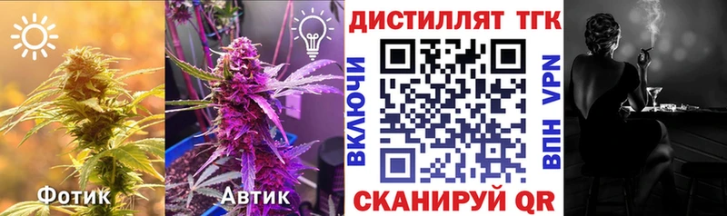 Дистиллят ТГК THC oil  купить   Севастополь 