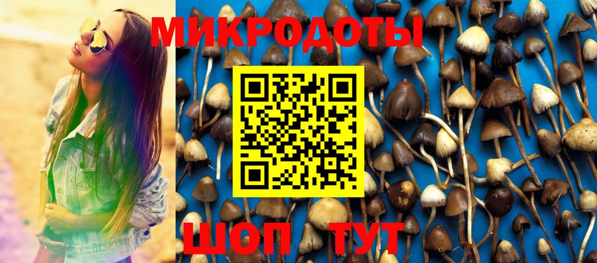 Севастополь  Псилоцибиновые грибы Magic Shrooms  Вход с VPN  Псилоцибиновые грибы Magic Shrooms 